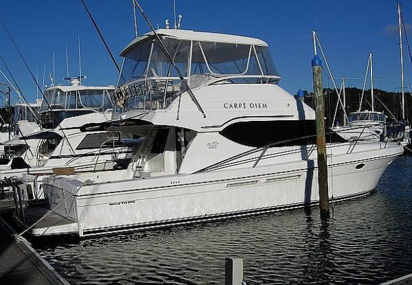 Mustang 43: Power Boats | Boats Online for Sale | Grp | - Whitianga