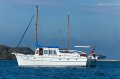Jack Clark planked bay cruiser