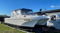 Ozycat Spirit 790