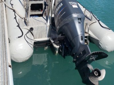 Naiad 5.8