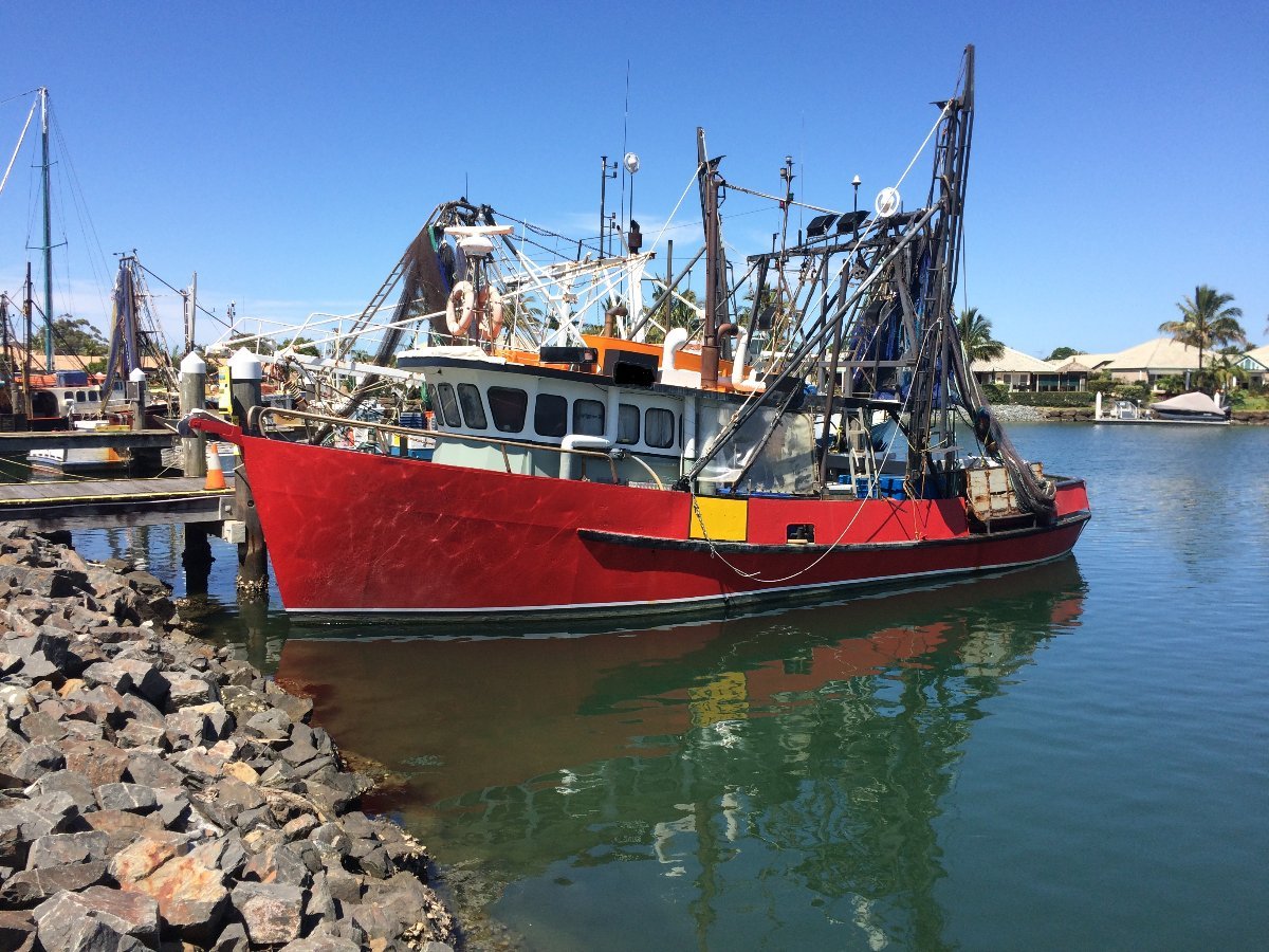 Fish Trawler Commercial Vessel Boats Online for Sale Steel