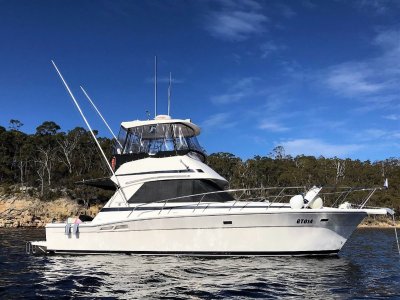 Riviera 36 Flybridge. Twin cabins, twin Cummins.