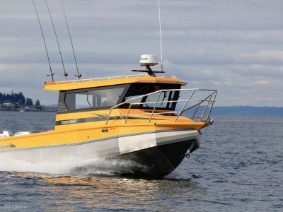 Stabicraft 2900 Pilothouse
