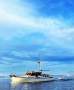 Ray Kemp Huon Pine irreplaceable coastal cruiser.