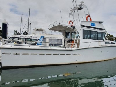 Boat Sales Tasmania Tas Hobart Commercial Vessels For Sale Yachthub