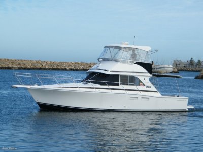 Mews Marine Brokers