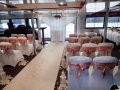 Dinner Cruise Ferry