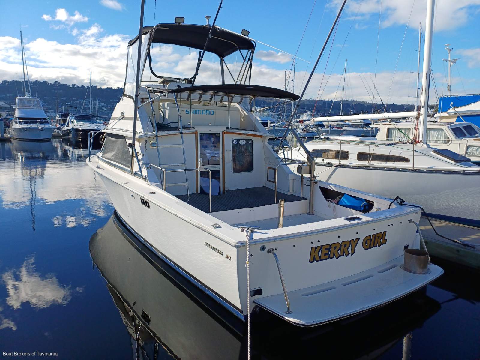 Bertram 28 Flybridge Twin diesel shaft drive Sportsfisherman