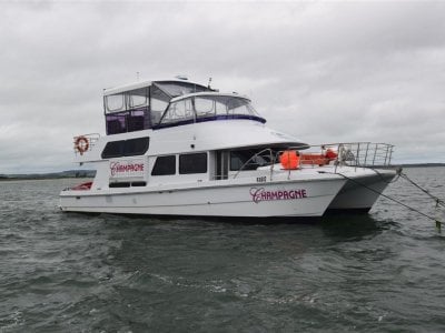 Cougar Cat 15.0 Flybridge 