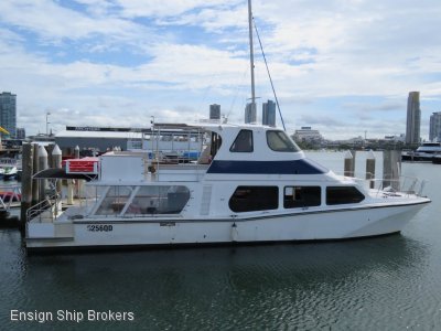 Cougar Cat 55