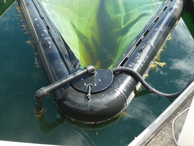 Sea Pen