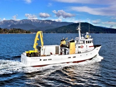 Offshore Support / Research Vessel 