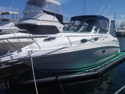 Dock Pro Sea Pen **Just serviced** 