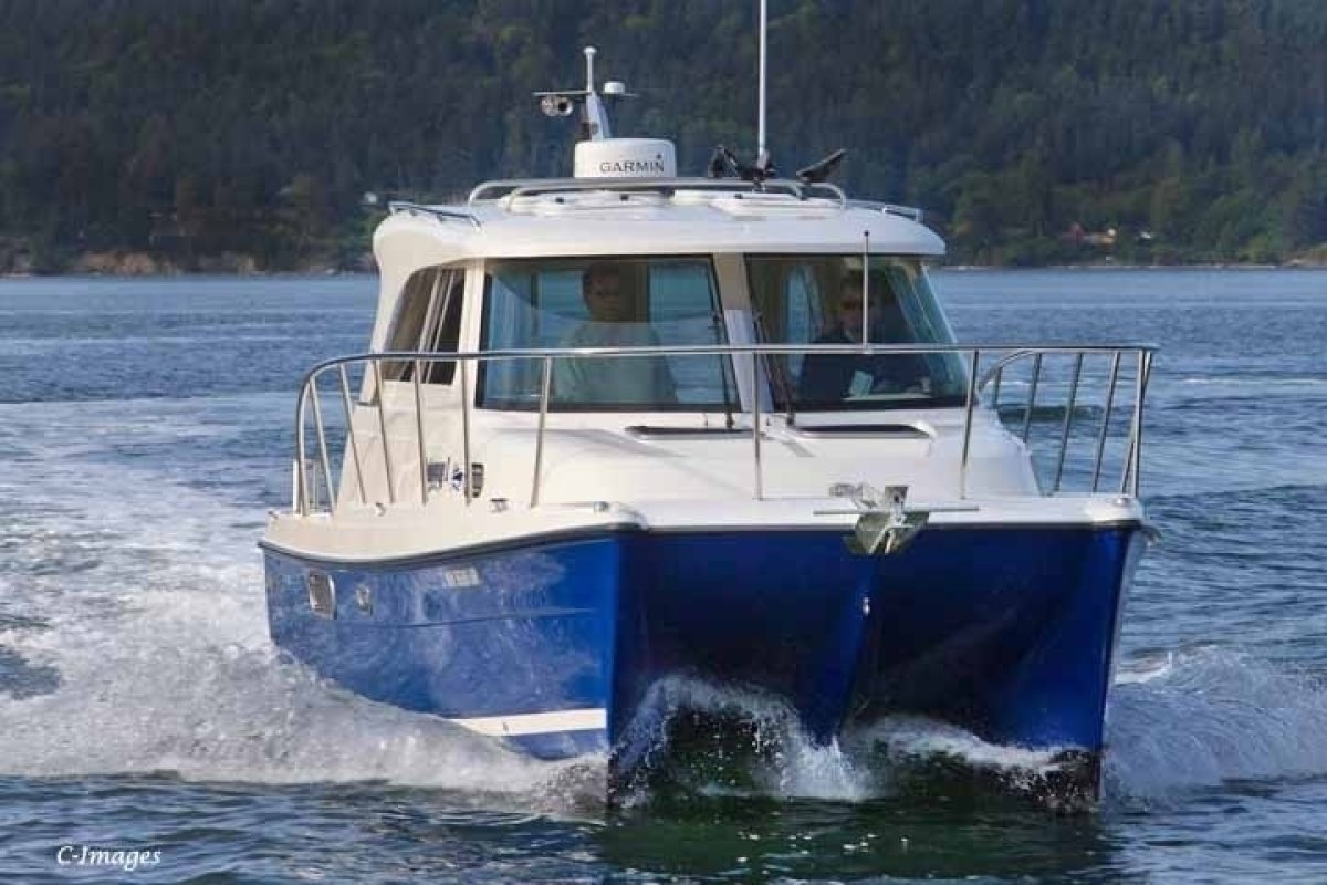 small power catamarans for sale