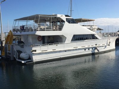 Denis Walsh Catamaran/Ferry Charter Business- Click for more info...