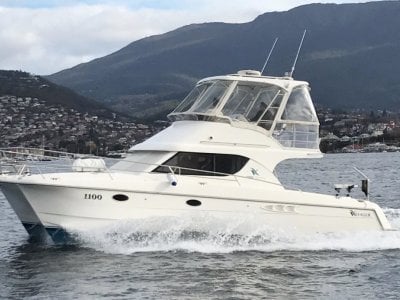 Voyager Discovery 1100 "Lakeland"