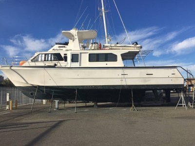 Conquest 55
