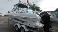 New Haines Hunter 595 Offshore