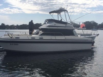 Markline 1100 Excellent Family Cruiser