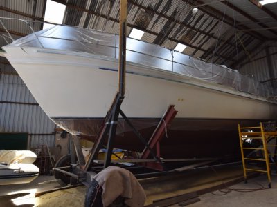 Wilson Motor Sailer Traditional Classic
