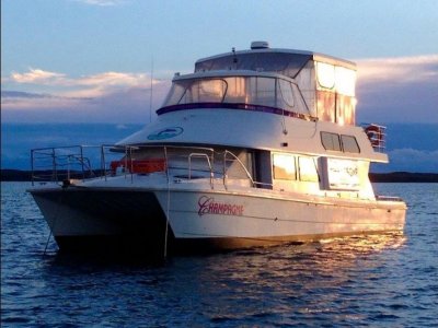 Cougar Cat 15.0 Flybridge