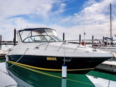 Riviera M290 Sport Cruiser New engine