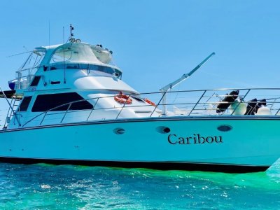 Precision Marine 17