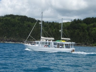 Sharpie Trawler Timber Cruiser 