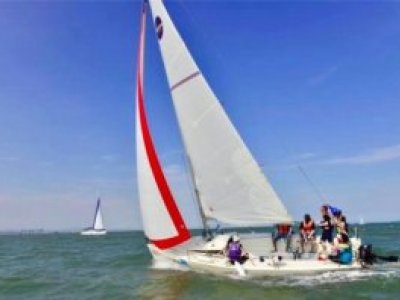 NEW BUILD - 8m Sport Sailing Yacht