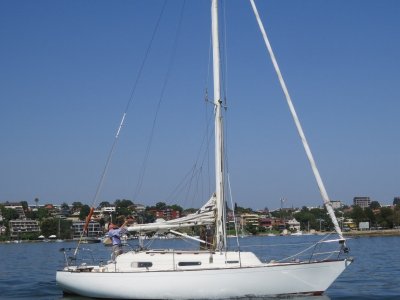 Currawong 30