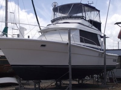 Riviera 35 Blue Water Flybridge Cruiser & 15m berth Tin Can Bay Marina