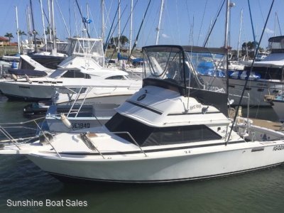 Bertram 28 Flybridge