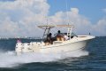 Chris Craft Calypso 30 - ALL THE COMFORTS OF HOME