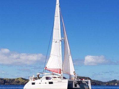 41 foot catamaran for sale