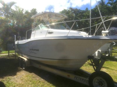 Seaswirl Striper In 3c Survey 