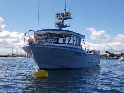 Aluminium Cray Boats For Sale in Australia | Boats Online