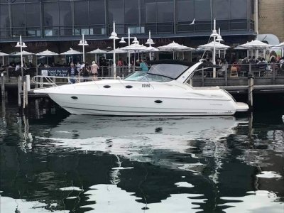 Sunrunner 3700LE Is this the best Sunrunner on the market?- Click for more info...