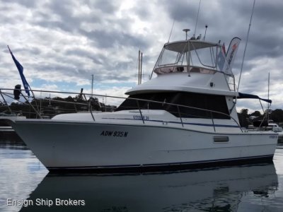 Steber 36 Flybridge