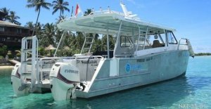 11m Diving / Fast Transfer / Power Cat