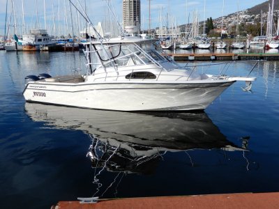 Grady-White Marlin 300 SUPERB OFFSHORE FISH/GAME BOAT EXCELLENT CONDITION