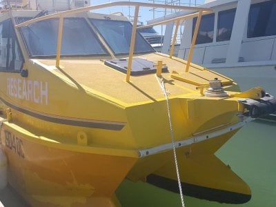 Marlin Broadbill 750 