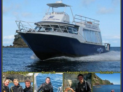 Hampton Yachts / David Jackson Design