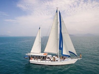 Marine Businesses For Sale in Australia | Boats Online