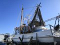 TS383 Timber Bay Trawler