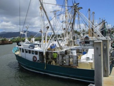 wallpapers Prawn Trawlers For Sale Australia prawn boats for sale in australia