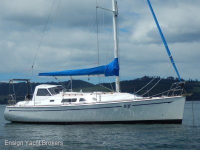 Dudley Dix Didi 36 Custom