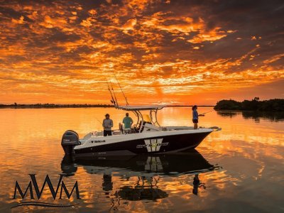 Wellcraft 262 Fisherman | The NSW Jeanneau Dealership - MWMarine