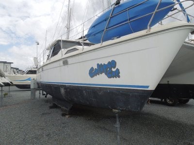Voyager Sailing Catamaran