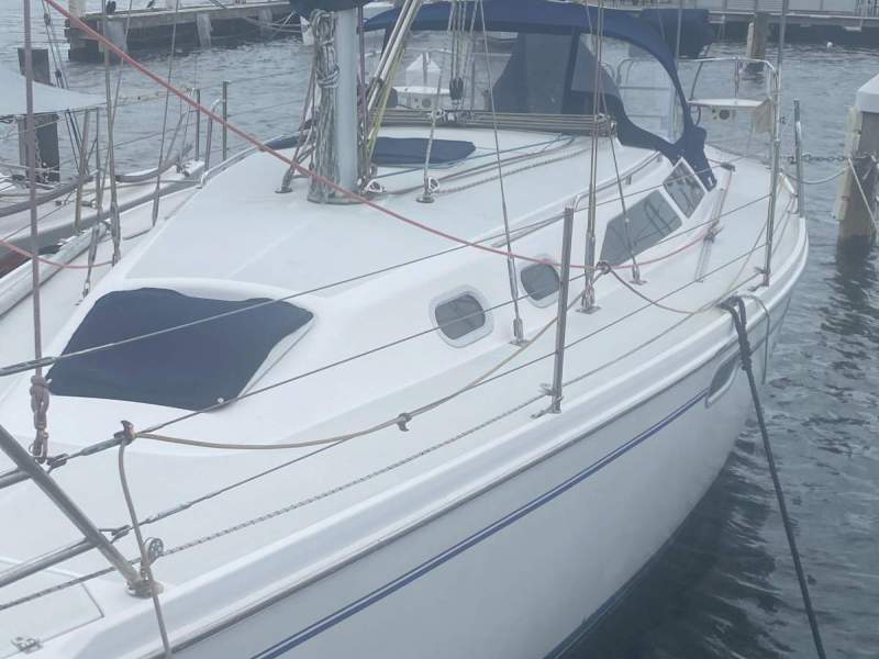Catalina 320