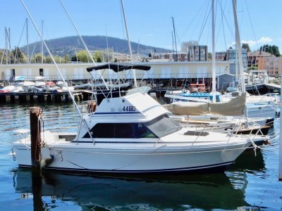 Bertram 25 Flybridge EXCELLENT SEA BOAT PRICED TO SELL!